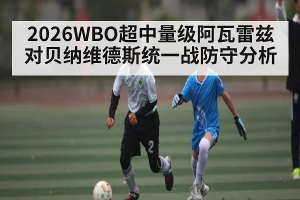 2026WBO超中量级阿瓦雷兹对贝纳维德斯统一战防守分析 - kaiyun